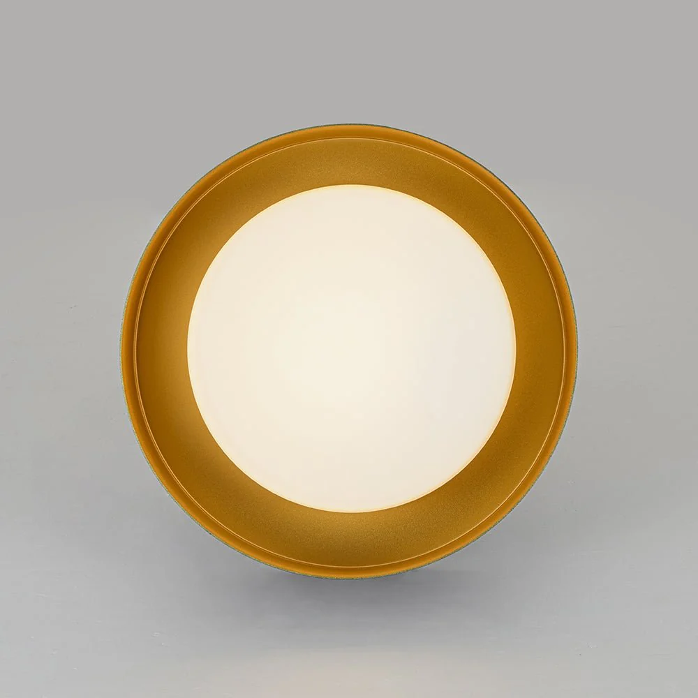 Dimmable LED Black Iron Milky Glass Round Drum Ceiling Light - Image 10