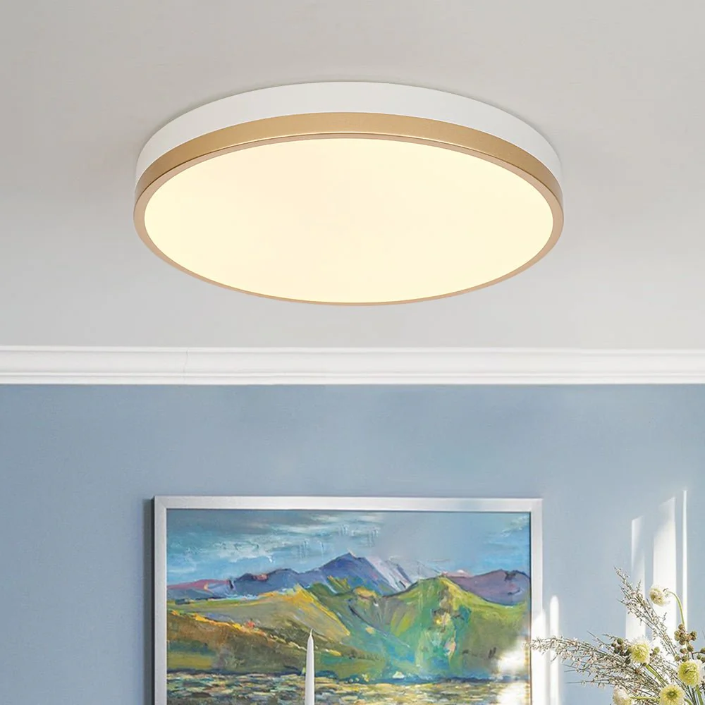 Scandinavian Round Dimmable LED Ceiling Light DIP Switch - Image 4