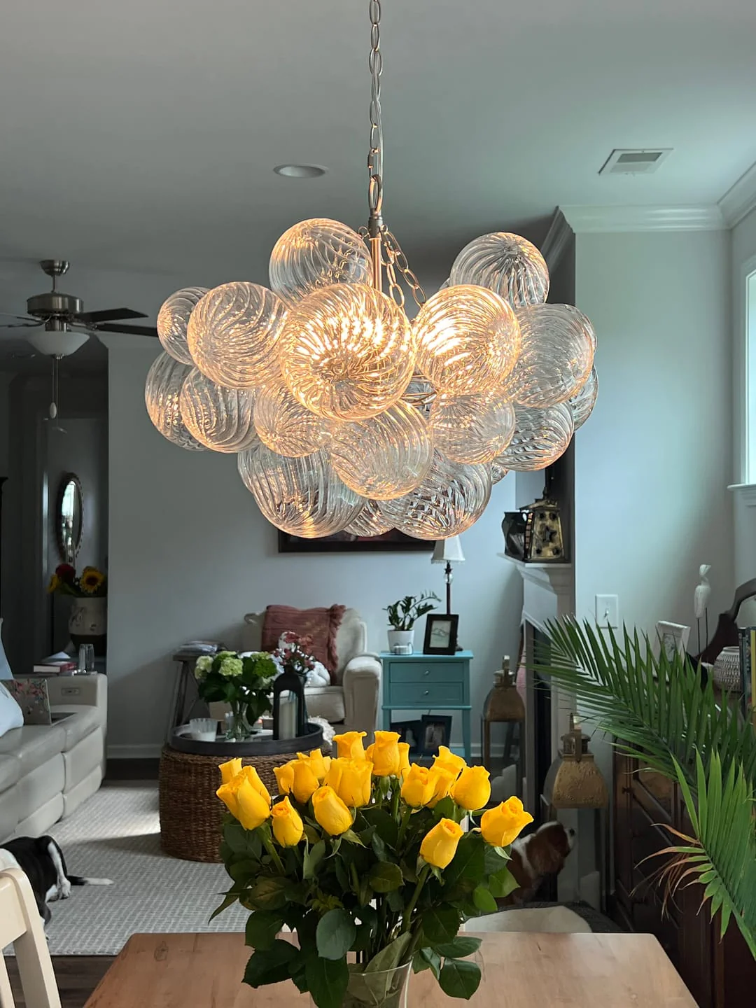 (OpenBox) Brass Cluster Ribbed Glass Globe Bubble Chandelier - Image 14